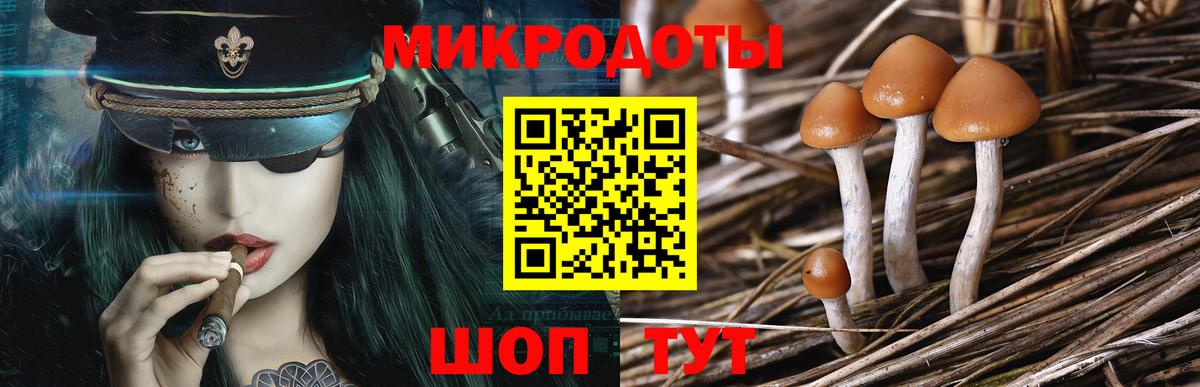 Сланцы  Галлюциногенные грибы мухоморы  Вход с VPN 